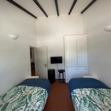 Casa Das Oliveiras Aviz Extérieur photo