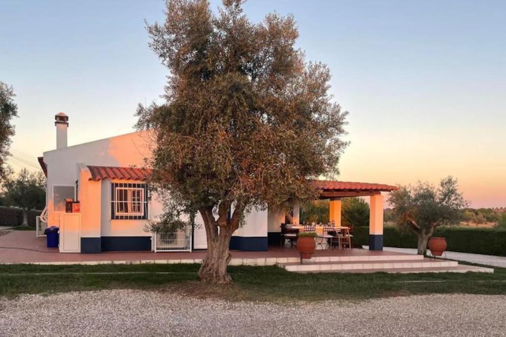 Casa Das Oliveiras Aviz Extérieur photo