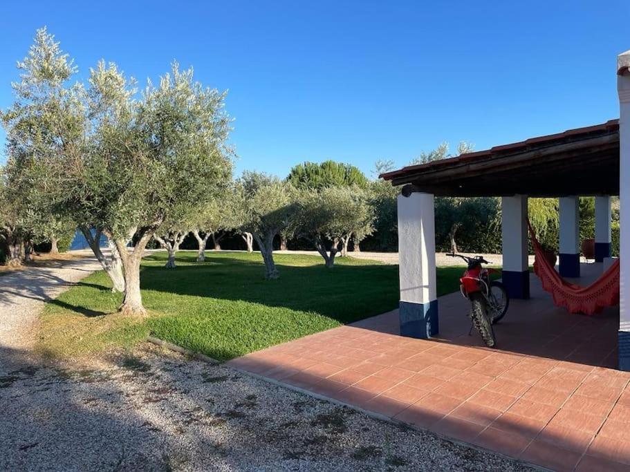 Casa Das Oliveiras Aviz Extérieur photo
