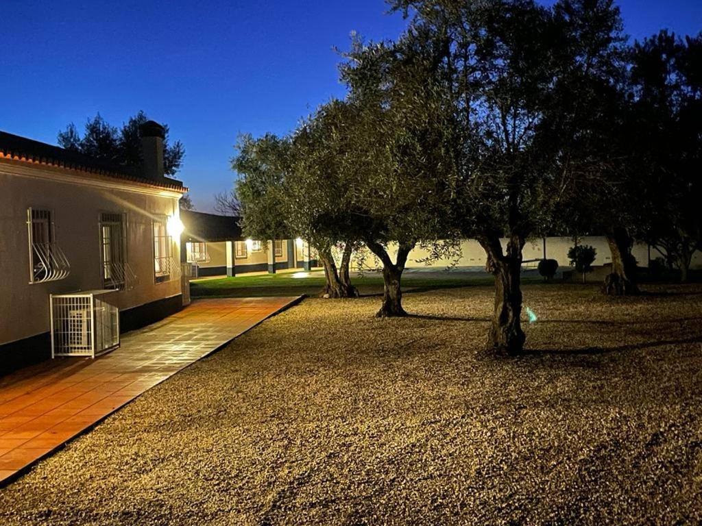 Casa Das Oliveiras Aviz Extérieur photo
