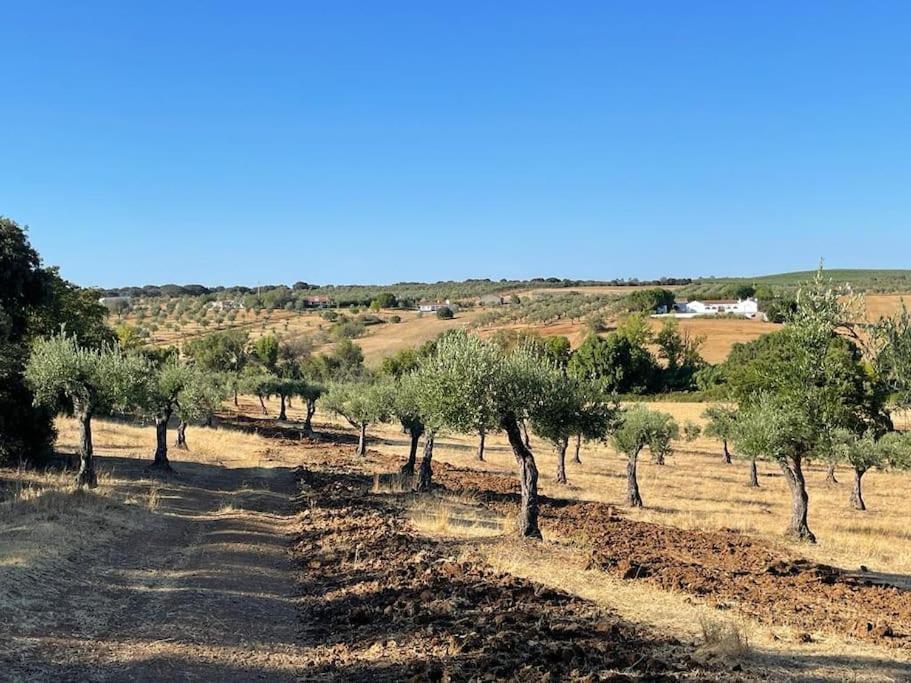 Casa Das Oliveiras Aviz Extérieur photo