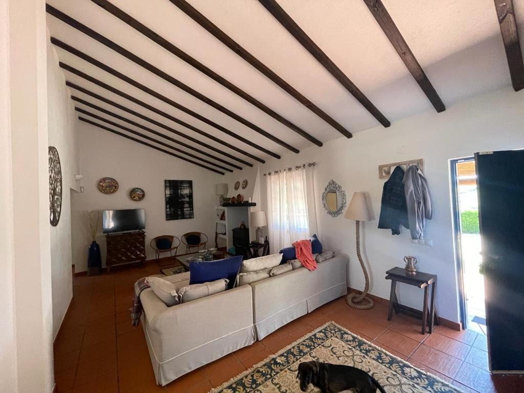Casa Das Oliveiras Aviz Extérieur photo